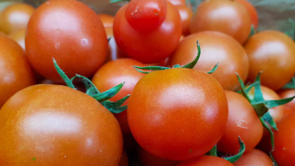 Tomaten!