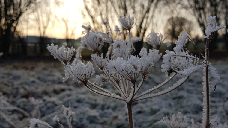 Winterpause