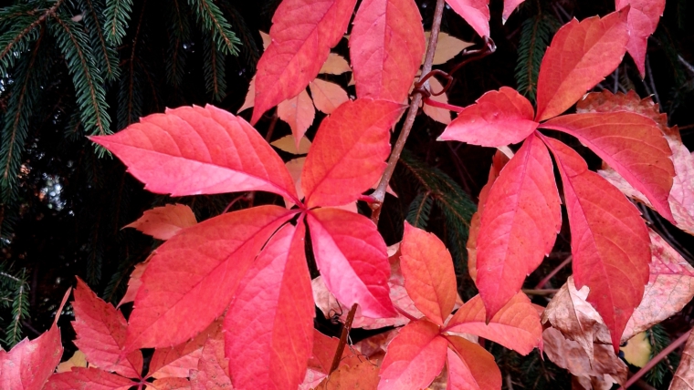 Geänderte Öffnungszeiten!